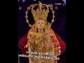 Download Lagu Panimaya Annai Status | #ourladyofsnow #ourladyofsnowbasilica #shortsfeed #status #mary #madha