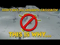 DON T BUY AN ARMADYL CROSSBOW - This is Why