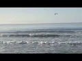 You can really see how consistent Pleasure Point gets sometimes in this