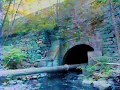 Renny Conti - Leaving the Zoo (Official Lyric Video)