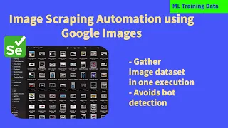 Scrape Google Image in Batches Efficiently Image Scraping Automation w Selenium