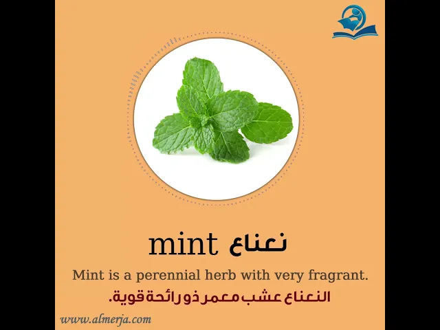 ⁣كيف تلفظ كلمة (نعناع) في اللغة الإنجليزية How to pronounce (mint)
