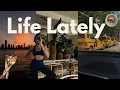 Life Lately Trying to Build a New Life From Scratch