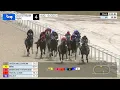 Gulfstream Park August 13 2023 Race 4