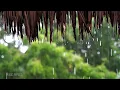 12 Hours Relaxing Sleep Music 🎵 Meditation Music, Stress Relief Music, Study Music • Sounds of Rain
