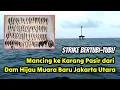 Lagu STRIKE BERTUBI-TUBI‼️Mancing ngapung di Karang Pasir dari Dam Hijau Muara Baru Jakarta Utara