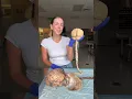 The Human Nervous System