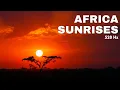 Lagu Africa Sunrises | 528 Hz | calming music | for study or work