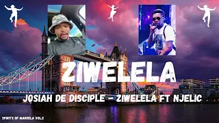 josiah de desciple ziwelela ft njelic