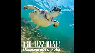 Relaxing Latin Jazz Radio ~ South American Jazz Instrumental for Work/Study/Relaxing ~ 24/7 Jazz BGM