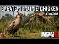 Greater Prairie Chicken Location - Red Dead Redemption 2