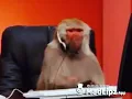 baby george - the porn hub virus