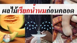 อาหารคนท้อง : ผลไม้เรียกน้ำนมก่อนคลอด | ผลไม้สําหรับคนท้อง | คนท้อง Everything
