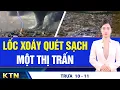 TRƯA 10/11: Động đất rung chuyển, Nhật Bản cảnh báo sóng thần; Bão Phượng Hoàng gây sóng cao 10m