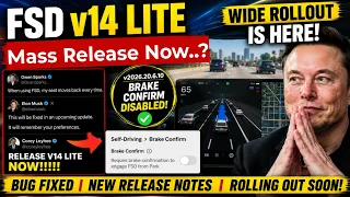 Tesla FSD v14 Lite New Release Notes Wide Rollout Begins Bug Fix Elon Musk Just Confirmed It