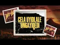 Mihlali The Guy, Dankieboi, MrThela, Cairo CPT, SinoMsolo, Konke - WoLo (Lyric Video)