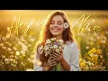 🌼 EU MEREÇO SER FELIZ 💖 Vibro Alegria e Gratidão: Mantras para Ativar Merecimento e Felicidade