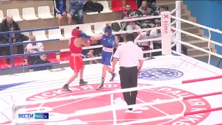 В Омске стартует чемпионат и первенство региона по боксу