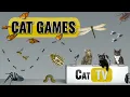 Download Lagu CAT-spellen | Ultieme Cat TV Bugs and Butterflies-compilatie deel 3 🪲 🐞🦋🦗🐜