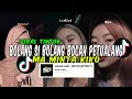 Download Lagu DJ BOLANG SI BOLANG BOCAH PETUALANG X  MA MINTA KIKO VIRAL TIKTOK TERBARU 2024
