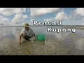 Download Lagu Pencari kupang