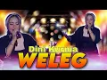 Download Lagu Dini Kurnia - Weleg (Official Live Music)