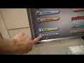 Bathing Husky at Petco