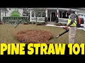 Pine straw how to install - lay