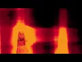 Daniel Avery - AQPAN6102