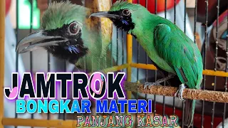 Download FULL Tembakan Panjang-Panjang || Cucak ijo Ngotot Bongkar isian Kasar MP3