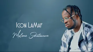 malome skatawane icon lamaf official music video 
