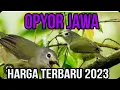 Download Lagu harga opyor jawa/pion lengkap dari loloan sampai prestasi.2023