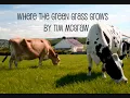 Where The Green Grass Grows by Tim McGraw (with lyrics)
