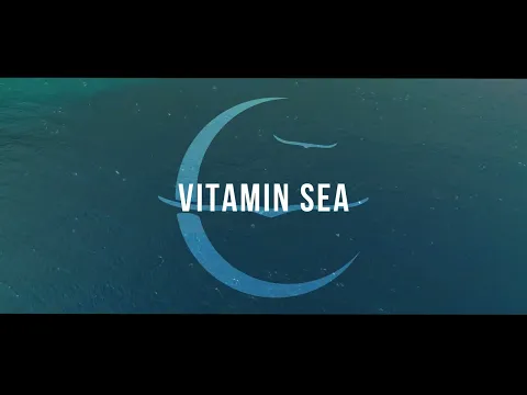 Download MP3 Owl City - Vitamin Sea (Official Lyric Video) #music #Officialvideo