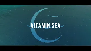 Download Owl City - Vitamin Sea (Official Lyric Video) #music #Officialvideo MP3