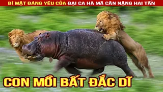 Sự Thật Ngã Ngửa Về Hà Mã: Loài "Báo Thủ" Không Biết Bơi! #shorts