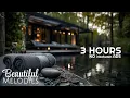 Download Lagu 💧 Spa Music No Ads + Water Sounds | Relaxing Massage Music for Healing, Calm \u0026 Deep Relaxation