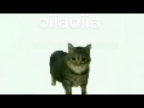 Download MP3 oiia oiia spinning cat [epilepsy warning]