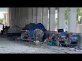 Homelessness SURGES in Broward County NBC 6 News