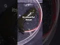 Download Lagu Watch this #leech eat an #earthworm 🪱🍴 #earthworm #leeches