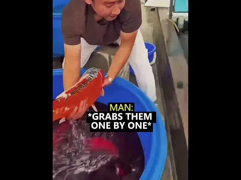 He Pours Black Liquid In A Fish Thank 🤯