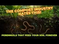 Lagu Stop Buying Compost! These Perennial Plants Build Soil FOR YOU For Free