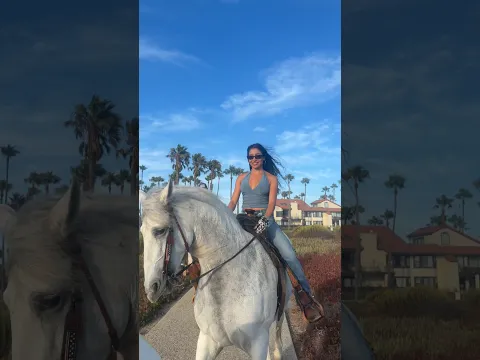Taking my horse to the beach
