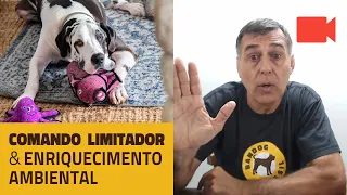 Comando limitador, ansiedade e enriquecimento ambiental.
