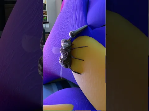 Sonic When The Fly Plays Your Song 1