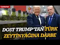 Dost Trump tan Turk zeytinyagina darbe Turkiye taviz uzerine taviz verirken