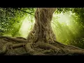 Download Lagu Relaxing Fantasy Music: Soothing Sleep Music, Peaceful Music, Calming Harp Music ★88