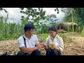 Download Lagu Alleenstaande moeder krijgt onverwacht een bekentenis van CEO Quang - Zal ze het ermee eens zijn?