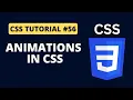 CSS Tutorial - Animations in CSS Programming For Beginners