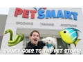 QUINCY GOES TO THE PET STORE
